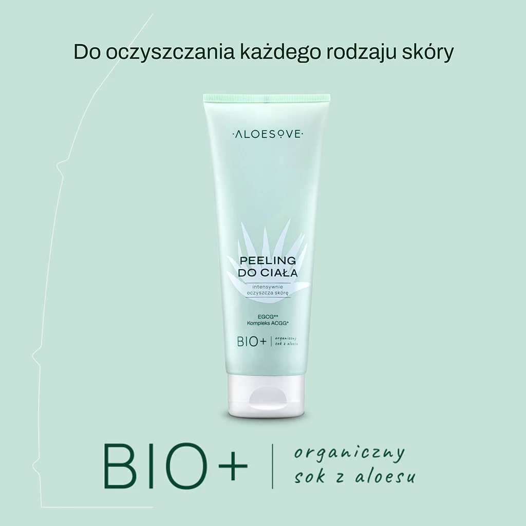 91b6270a00004a4a815ab2d581d35ffd
